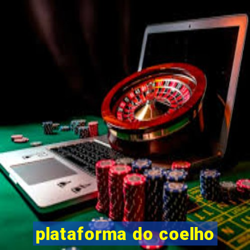 plataforma do coelho